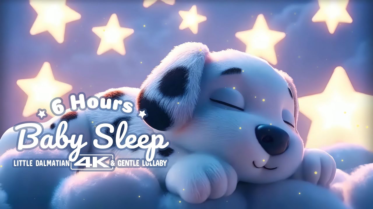 6 Hours Baby Sleep Lullaby | Little Dalmatian Dreaming Under Star Lights (4K, No Talking)