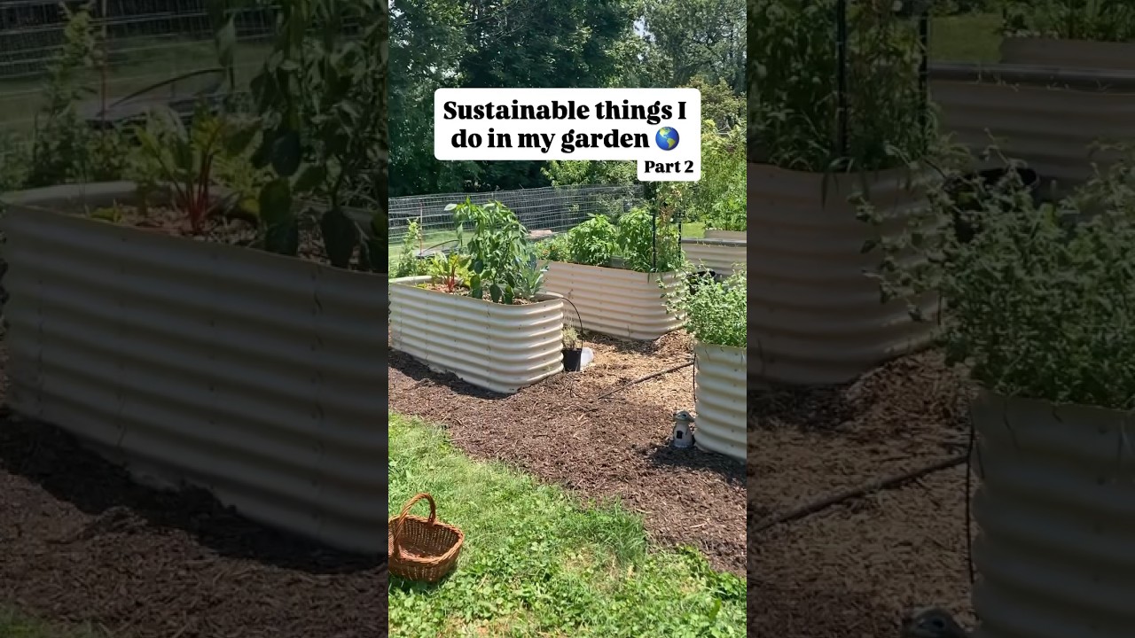 #Sustainability in the #garden doesn&rsquo;t need to be complicated 🌱 #GardenTips #EcoFriendly #gardening