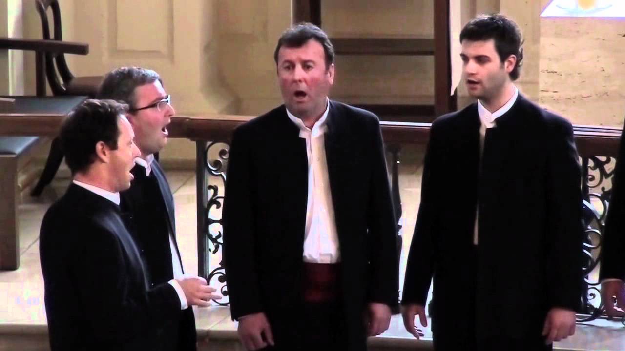 Klapa Motovun - Dalmatino povišću pritrujena