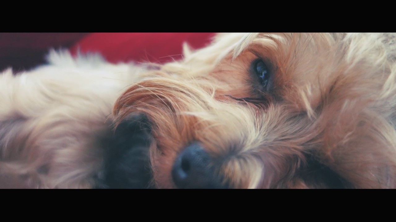 sony rx100 m2
