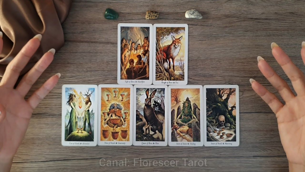 🔴 POR QUE ELE(A) APARECEU NOS SEUS CAMINHOS? | Tarot Responde