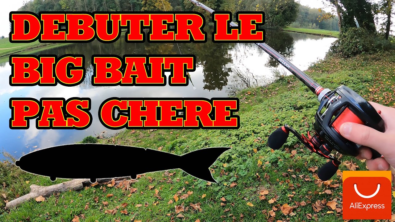 🎣 Découverte du BIG BAIT avec seulement 100€ 