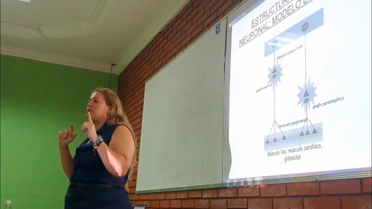 Fisiología: Sistema nervioso autónomo IV