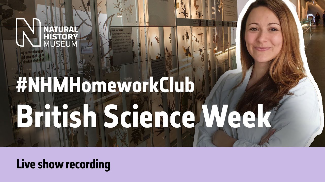 British Science Week Quiz | #NHMHomeworkClub