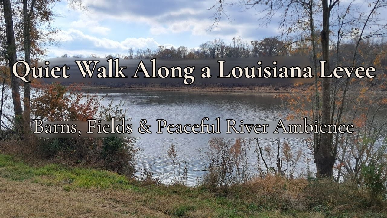 A Quiet Walk Along a Louisiana Levee | Cows, Abandoned Barns, Fields & River Sounds