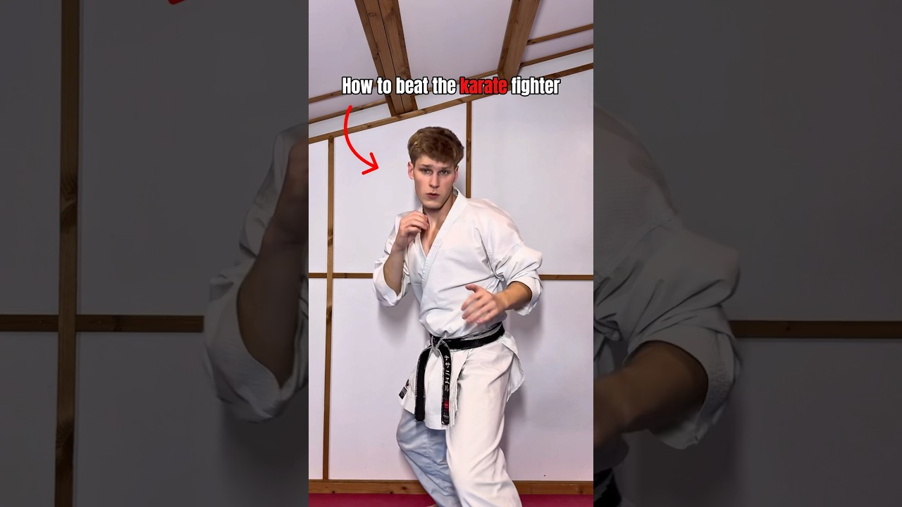How to beat the KARATE fighter&hellip;