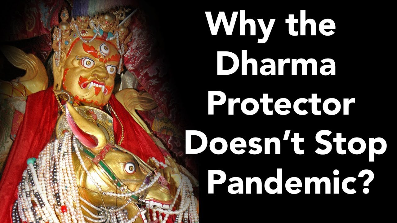 Why the Dharma Protector Doesn’t Stop Pandemic?