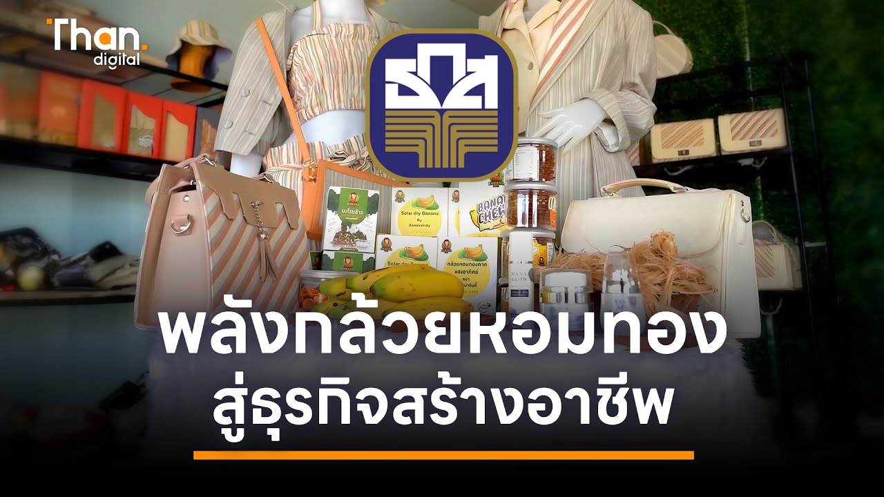 วิสาหกิจชุมชนวัยหวาน พลังกล้วยหอมทองสู่ธุรกิจสร้างอาชีพ | THANTALK | 26 มี.ค. 68