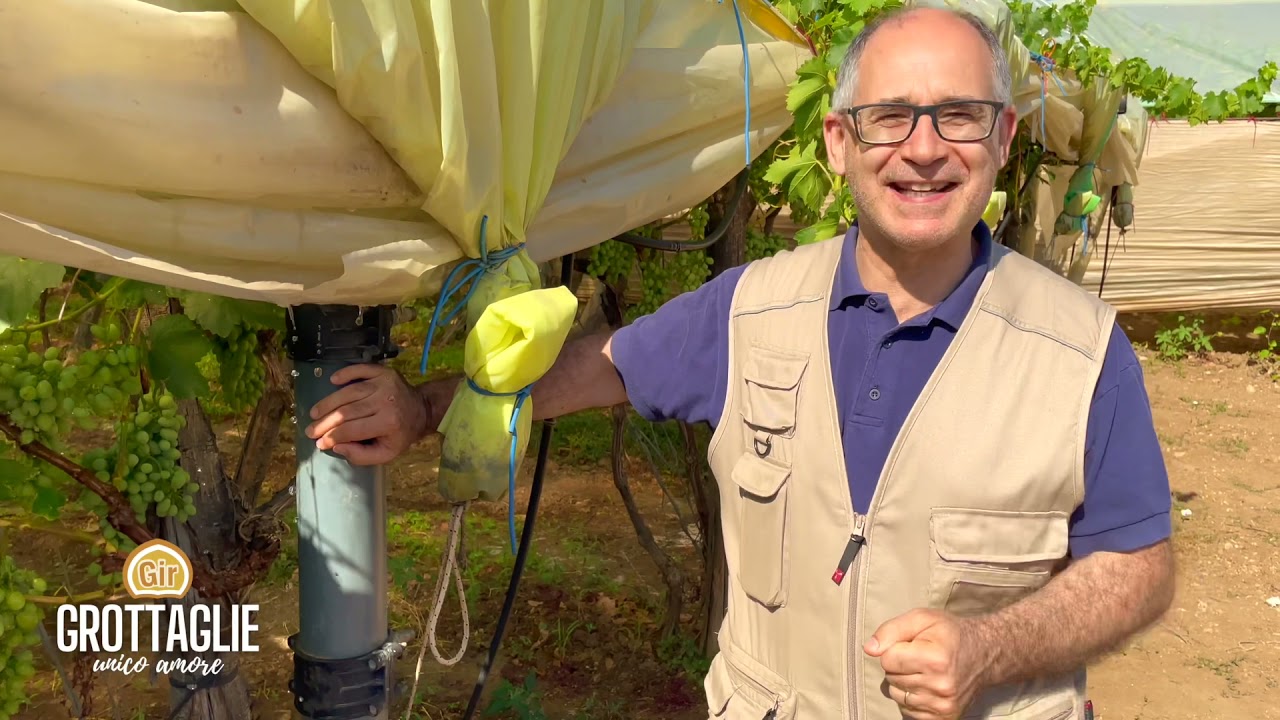 L’impianto a gocce a Grottaglie