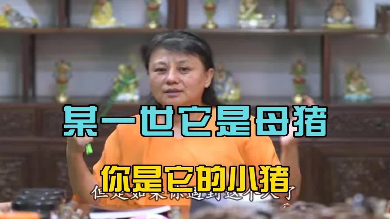杨宁老师：夫妻离婚的宿缘，某一世她是母猪，你是它的小猪