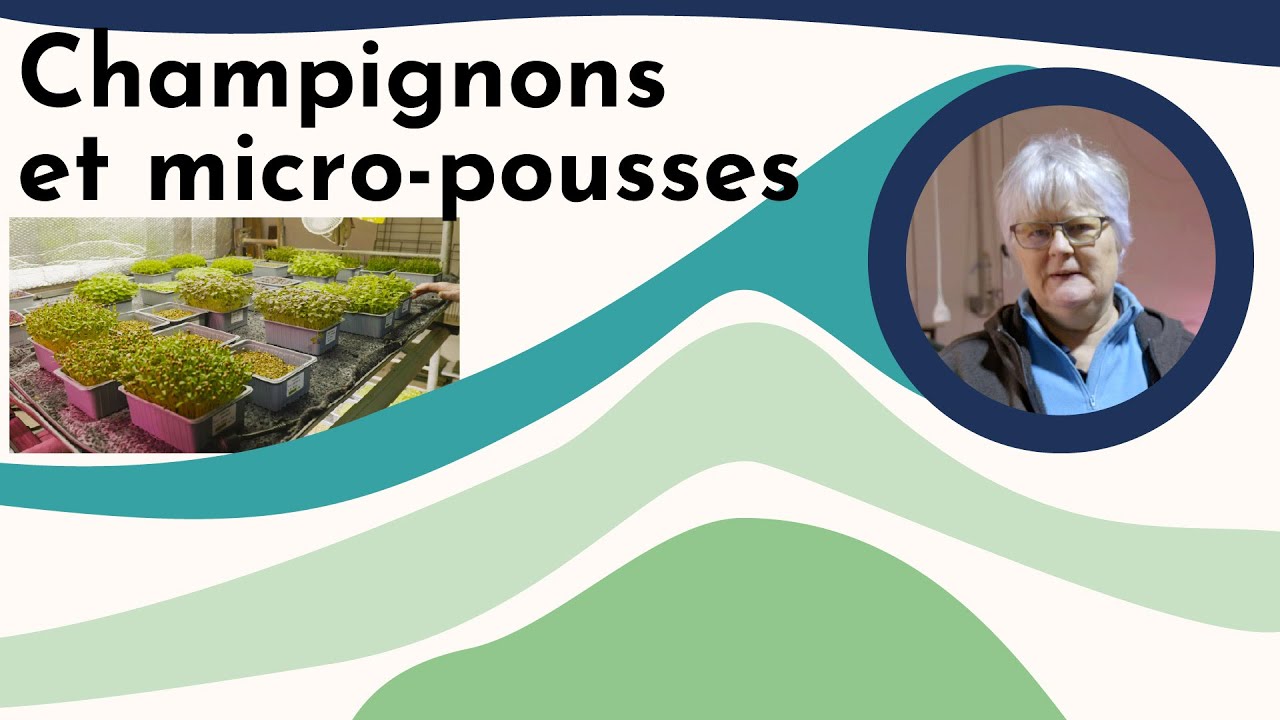 Les champignons et micro-pousses du Gers