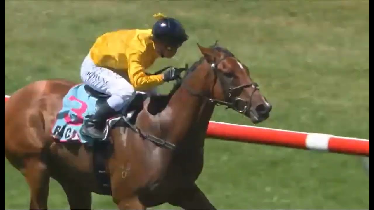 Trentham NEW ZEALAND  RACE 2  -  (01 MARCH 2026)
