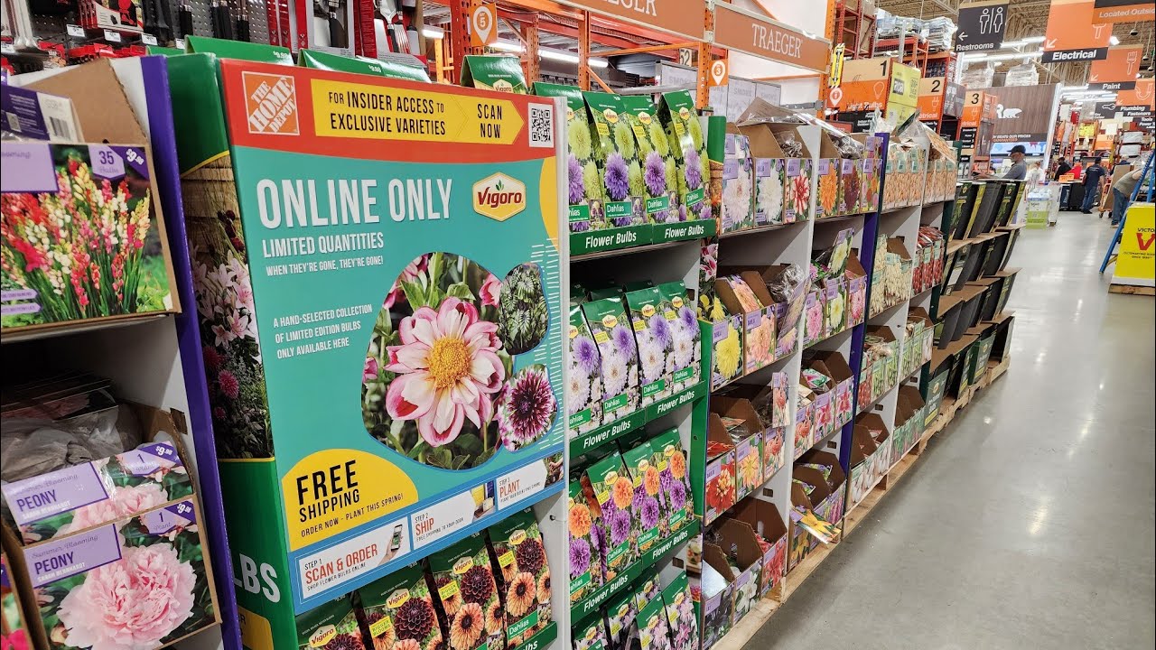Home Depot impresses with their first stock of summer bulbs for 2024!!
