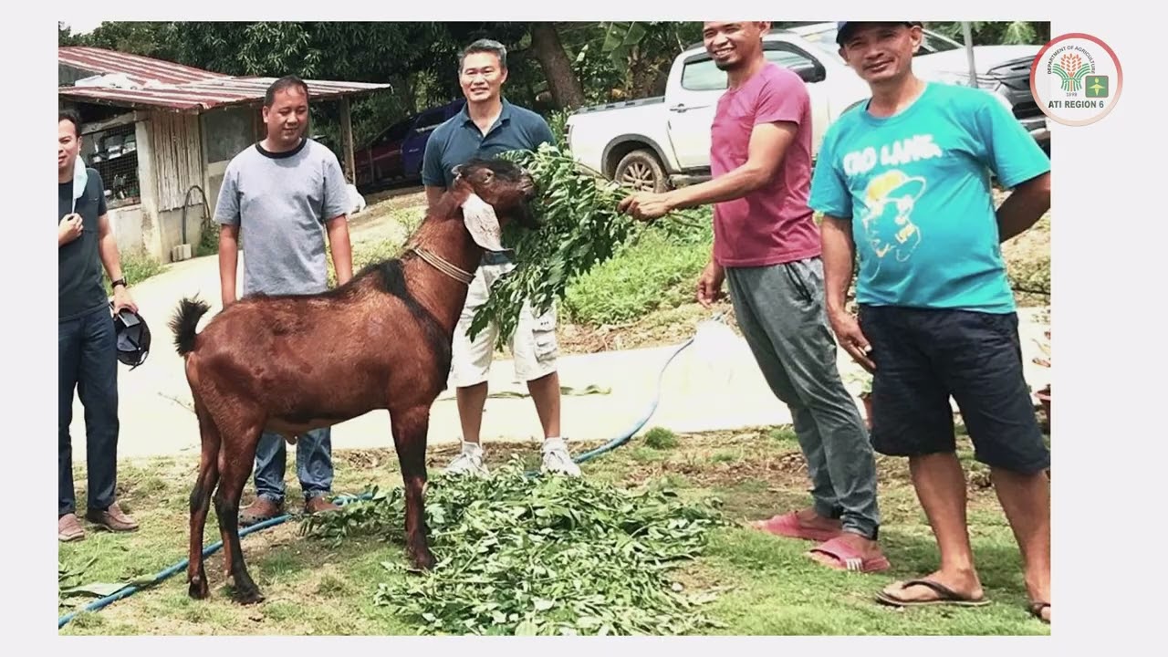 Engineering Excellence in Dairy Farming: Ilo2x Living Farm Success Story