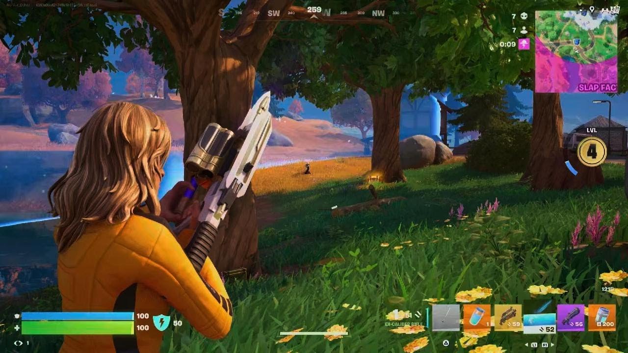 Fortnite_20260110033002