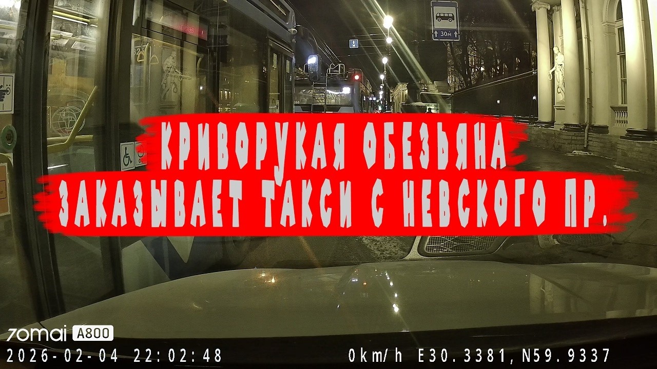 ПАССАЖИР КРИВОРУКАЯ ОБЕЗЬЯНА С ТЕЛЕФОНОМ В РУКАХ