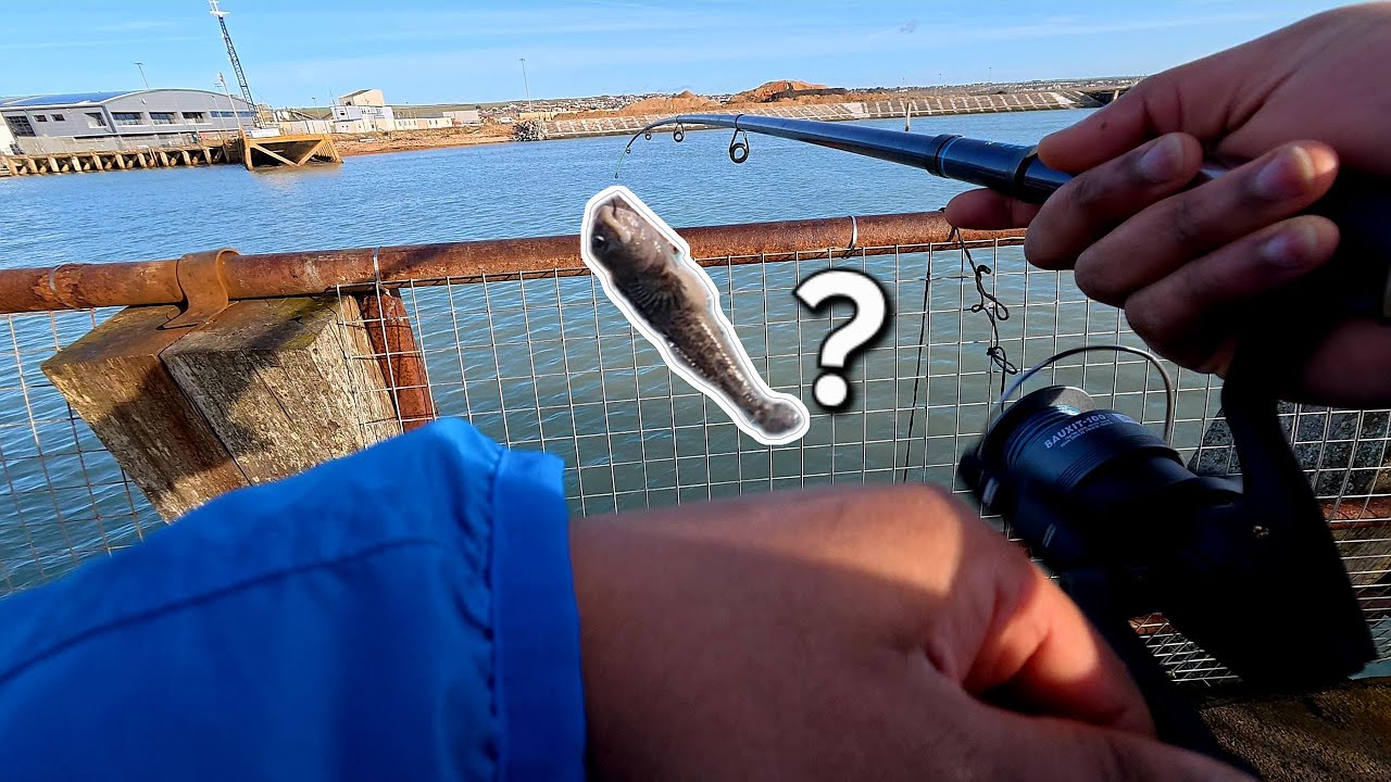 Sea fishing in Jan - Is it worth it?