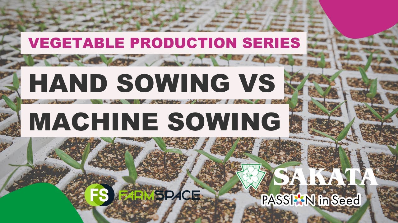 #13  Hand Sowing vs Machine Sowing