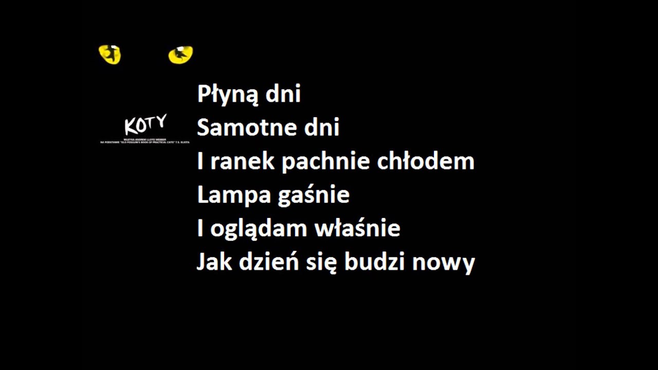 Koty - Pamięć (Memory) lirycs video