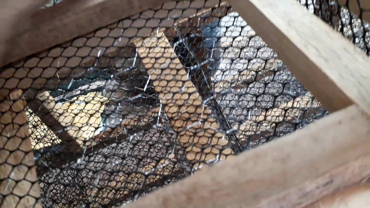 Bateria para codornas , com repartiçã, faça você mesmo, criação de codornas, criatorio Ubiratã - PR.