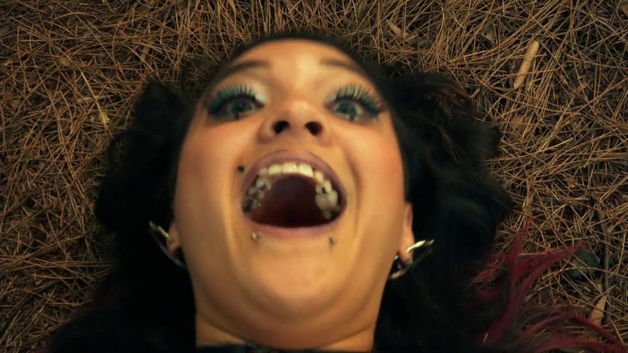 DARIENNE v SYNDA