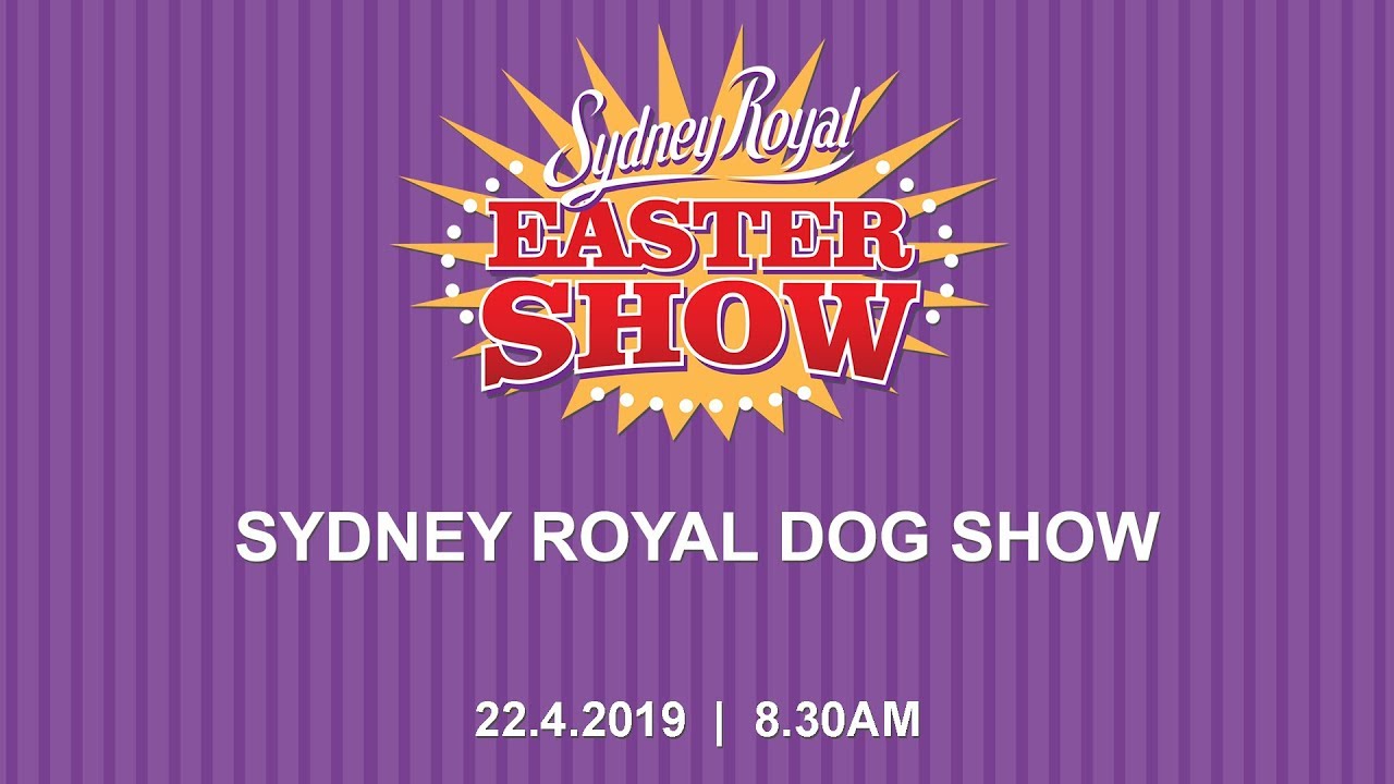 2019 Advance Sydney Royal Dog Show - Best In Show