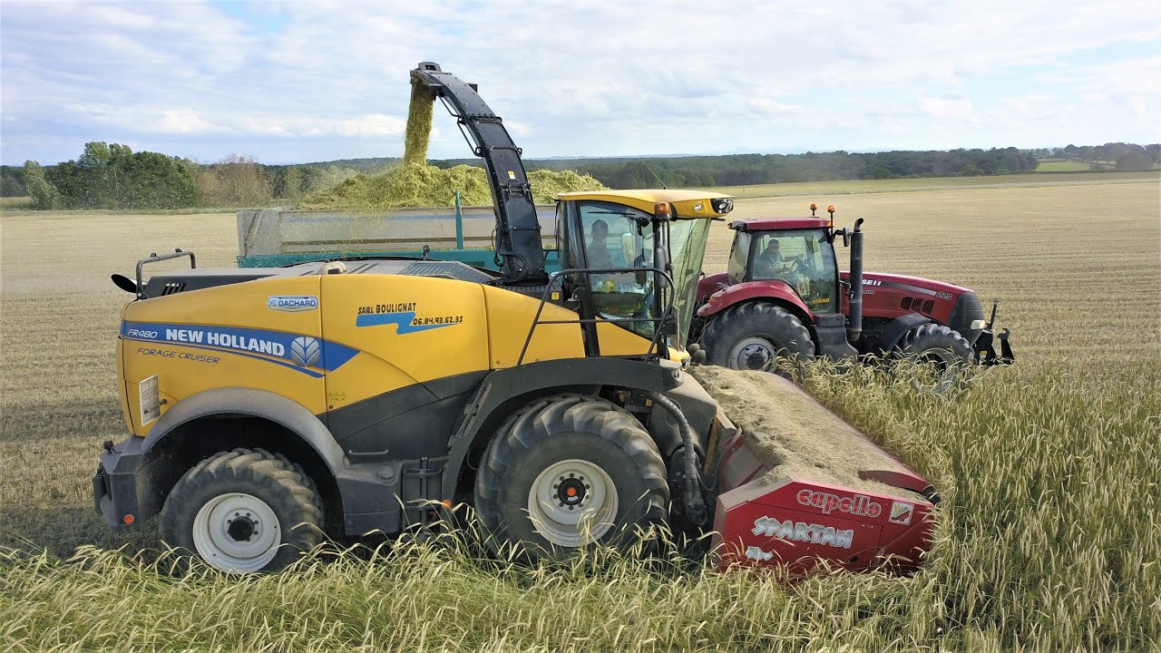 La SARL Boulignat en action à l'ensilage de seigle pour un méthaniseur !