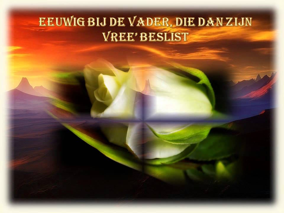 nooit meer nacht