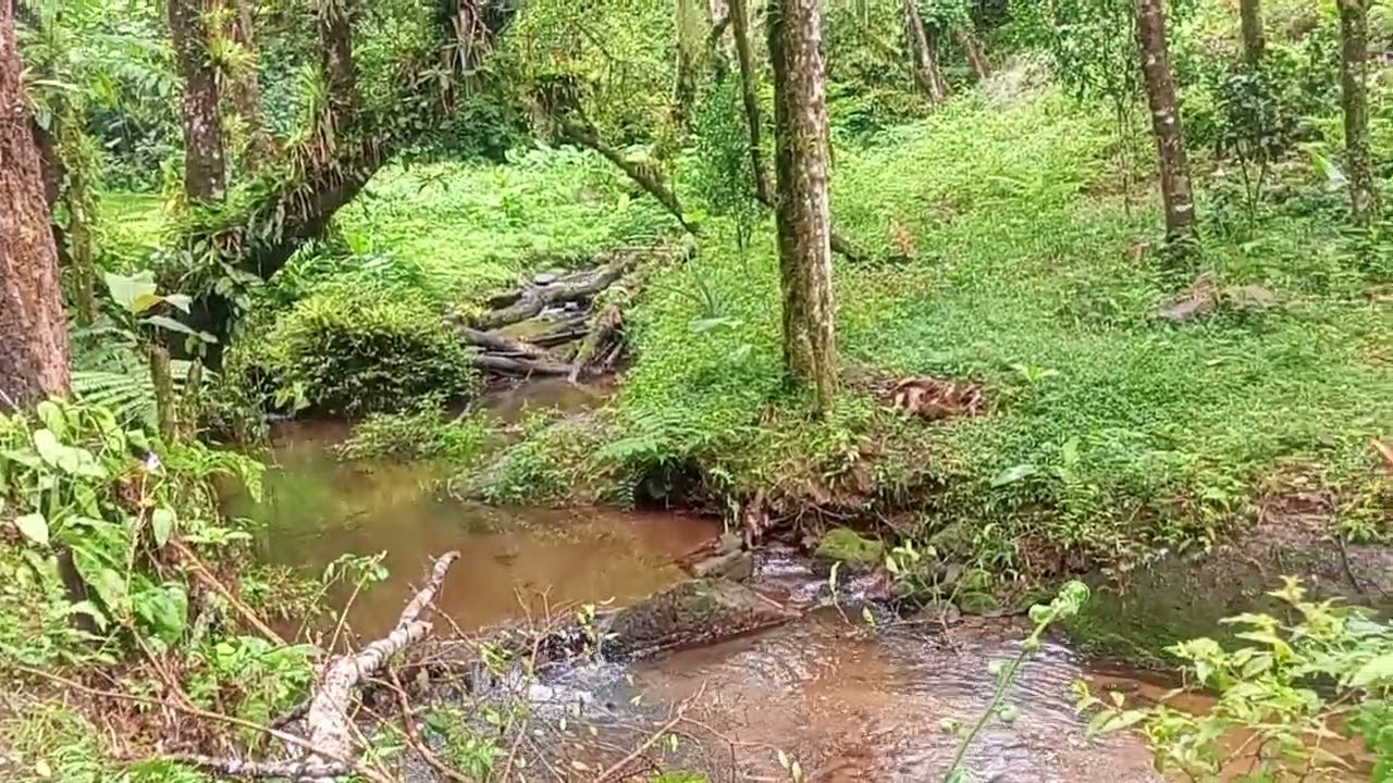 Bica de água para repor a energia.