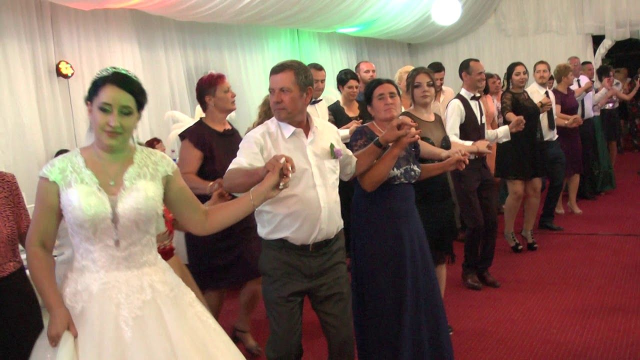 Dumitru Vasilescu - 2018 Live 2 - Nunta Adrian si Elena