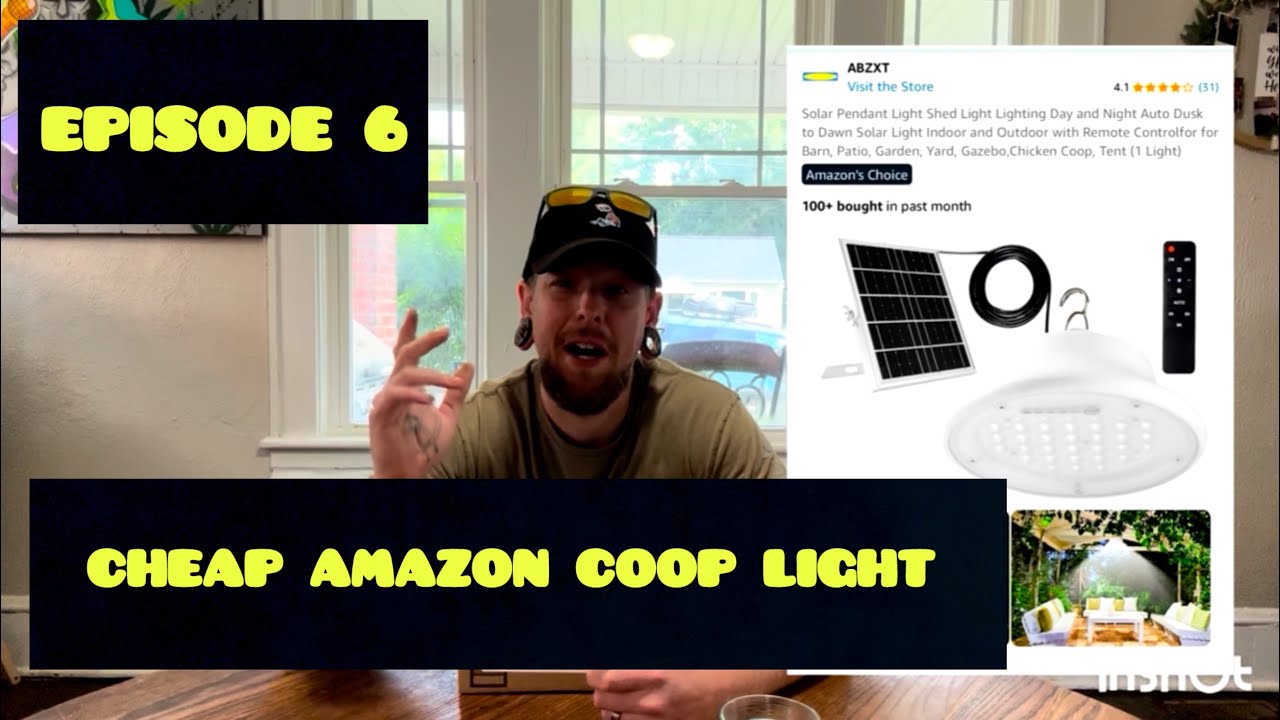 Testing amazon solar chicken coop light - Dose it really work? 
