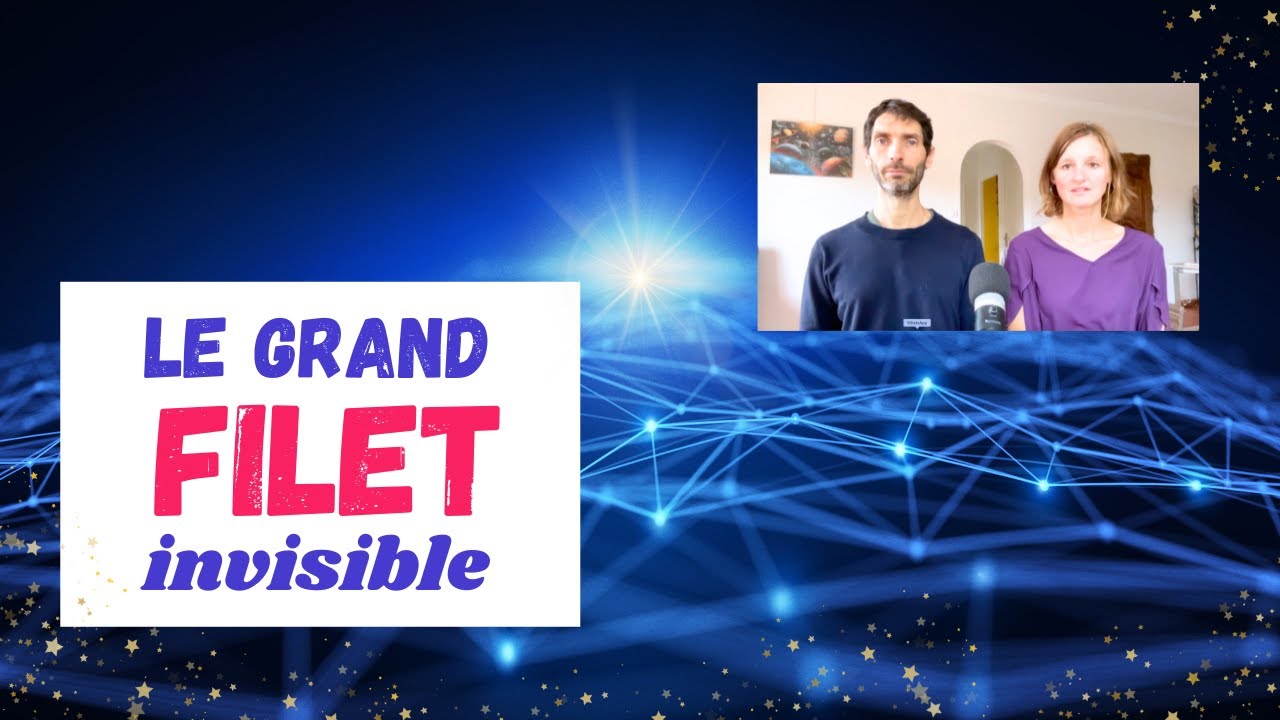 Qu'est-ce que le champ d'informations universel ?