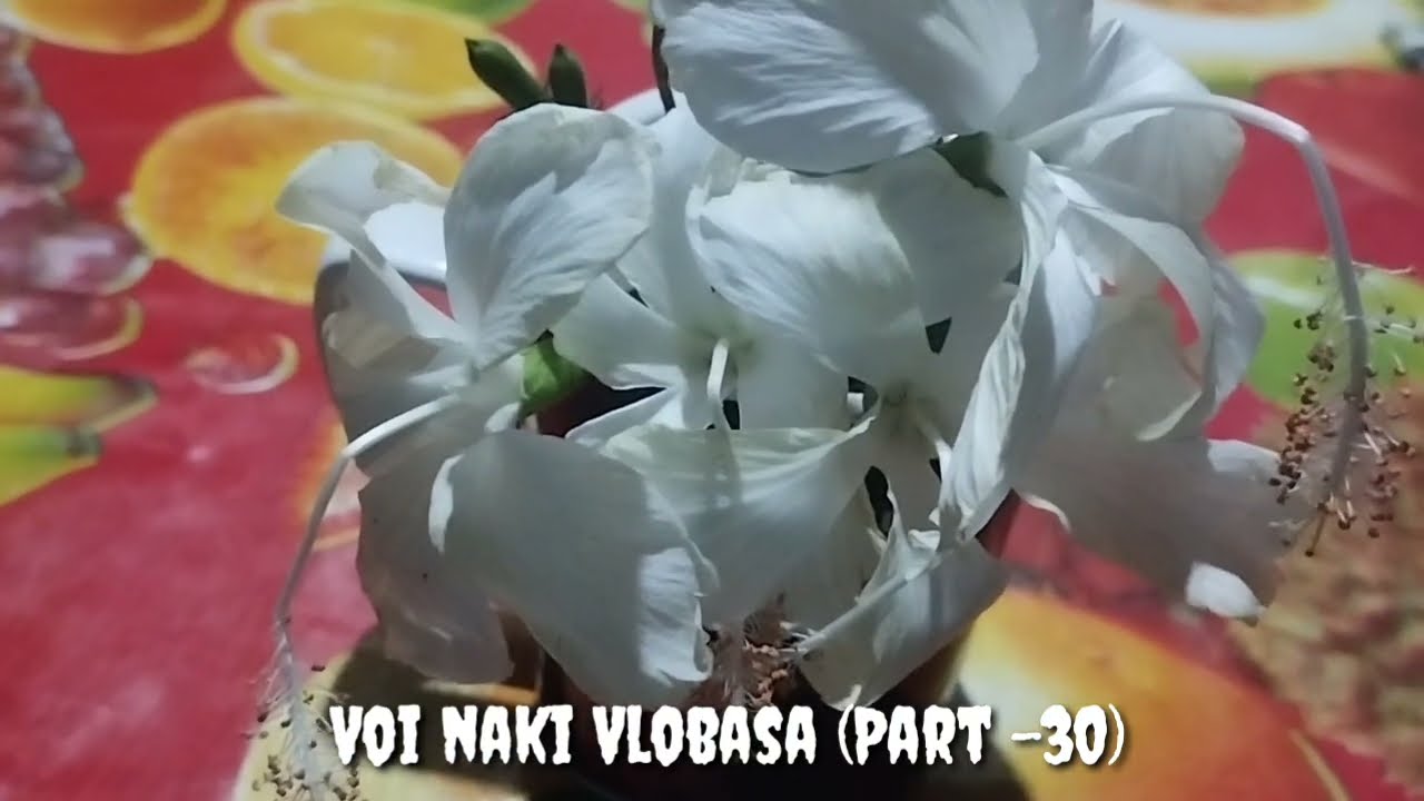 New Golpo ভয় নাকি ভালোবাসা (Part :-30) Voy Naki Valobasha 