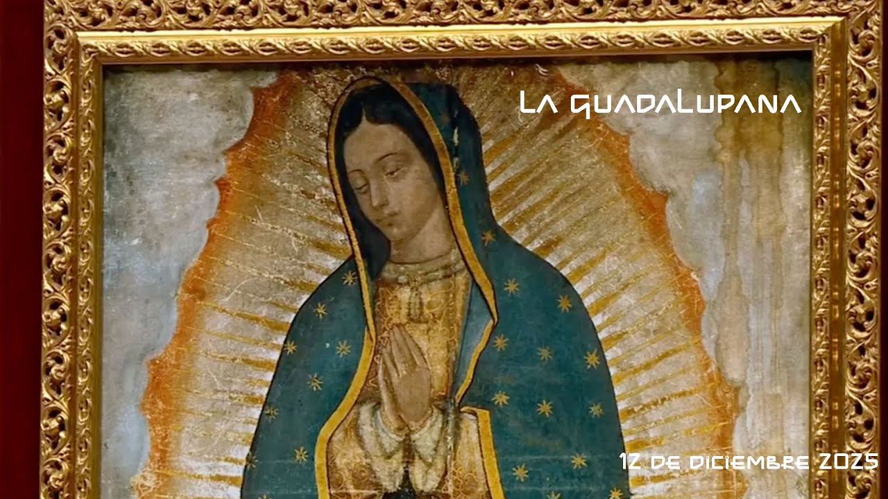Así sonó La guadalupana en la Celebración en el Vaticano 2025