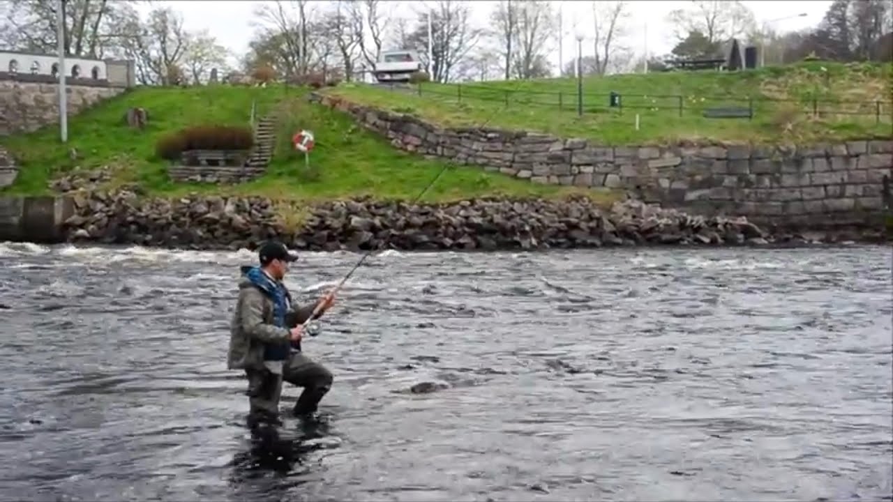 Salmon Tactics with Andreas M&ouml;ller