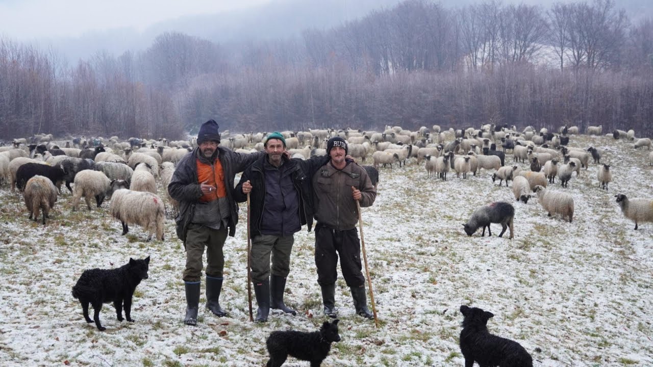 MI SMO NAVIKLI NA SNIJEG U KUĆI BI SE ODMAH RAZBOLILI