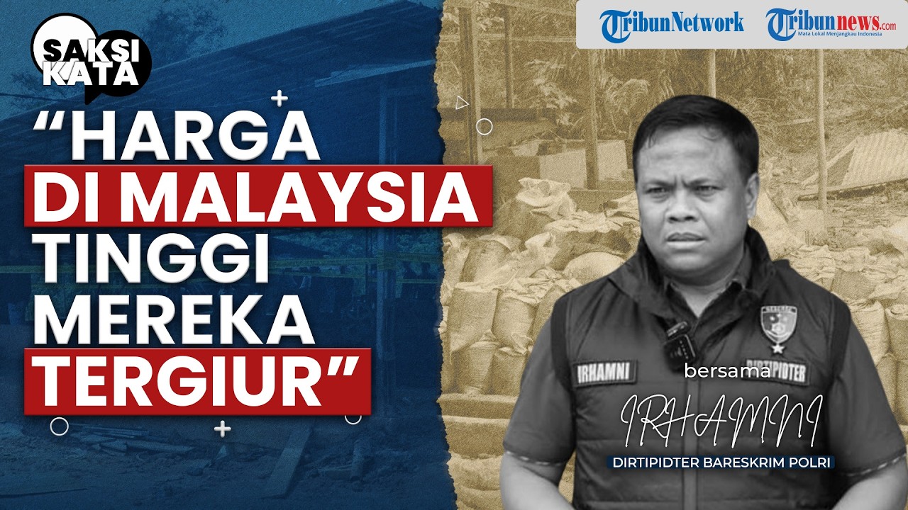 Polisi Gerebek Pabrik Timah Ilegal Jaringan Internasional di Belitung Timur, 60 Ton Diselundupkan