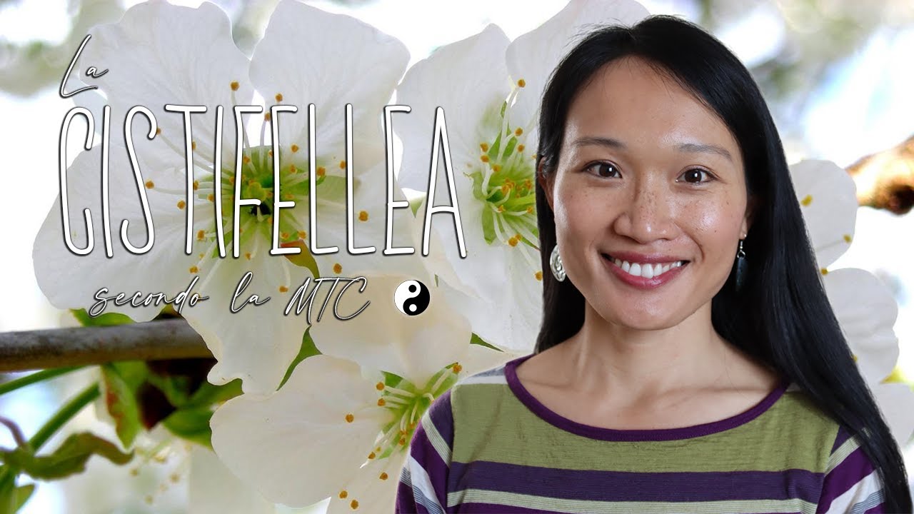 LA CISTIFELLEA secondo la Medicina Tradizionale Cinese  ☯️ |  Elemento Legno 🌳