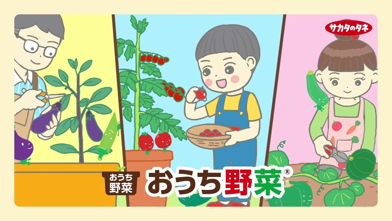 サカタのタネおうち野菜youtube広告用