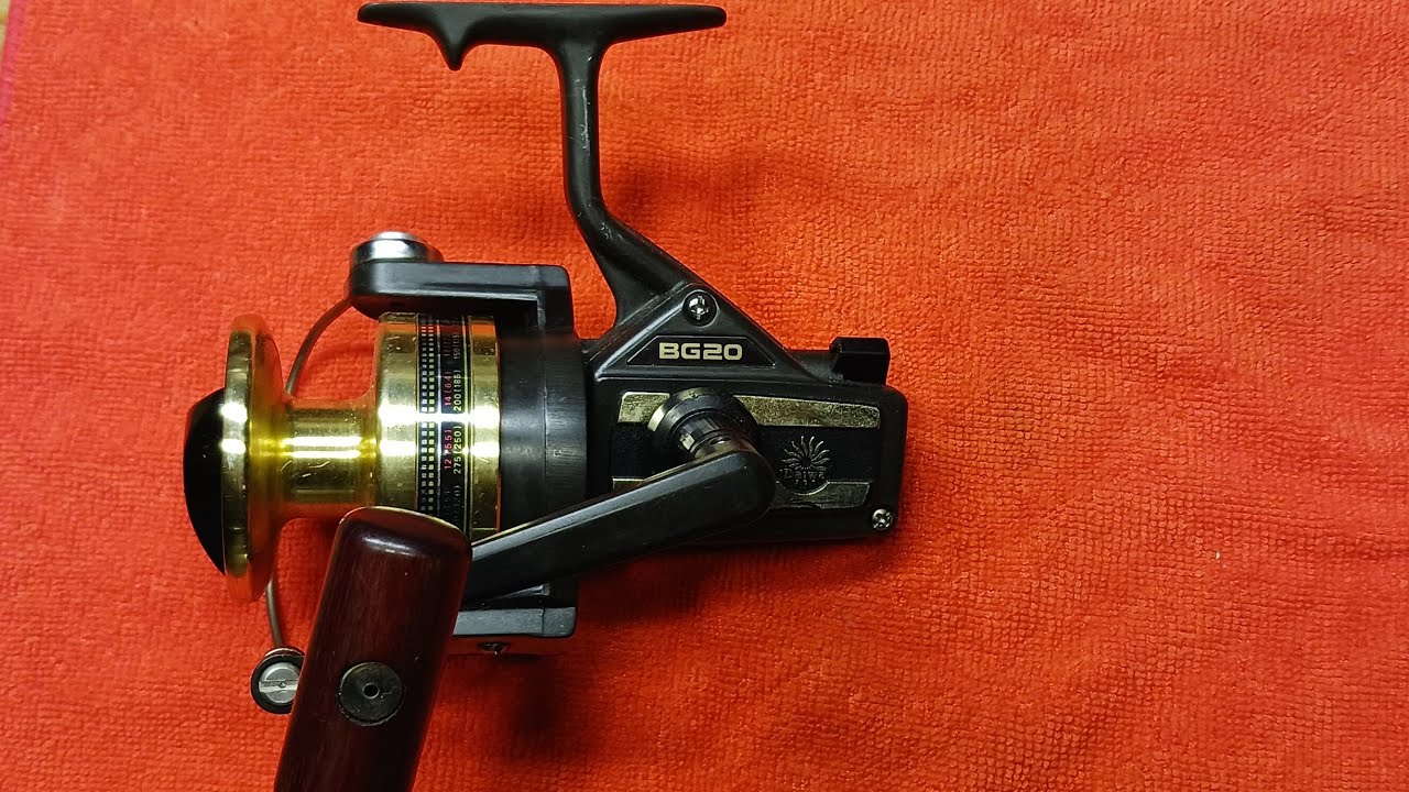 Daiwa BG 20 Spinning Reel Service