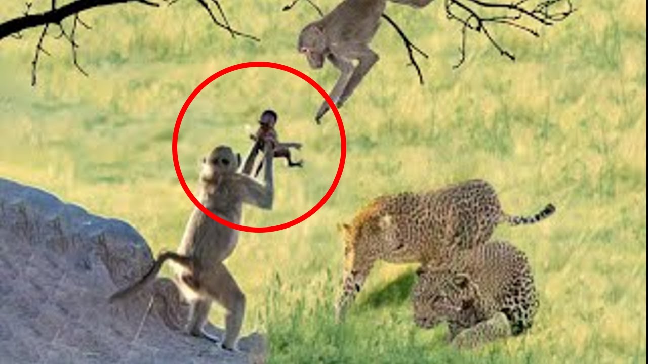 10 Animales Que Protegen A Sus Cr&iacute;as De Formas Incre&iacute;bles
