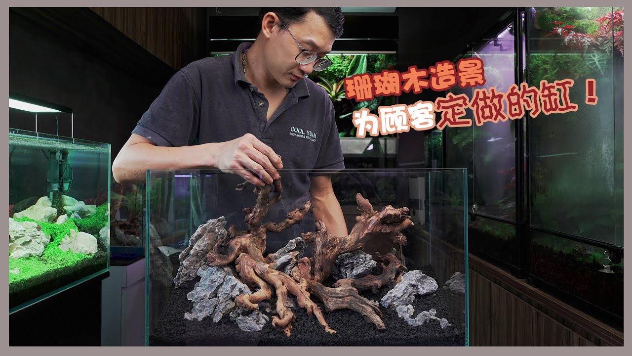 珊瑚木造景为顾客定做的缸