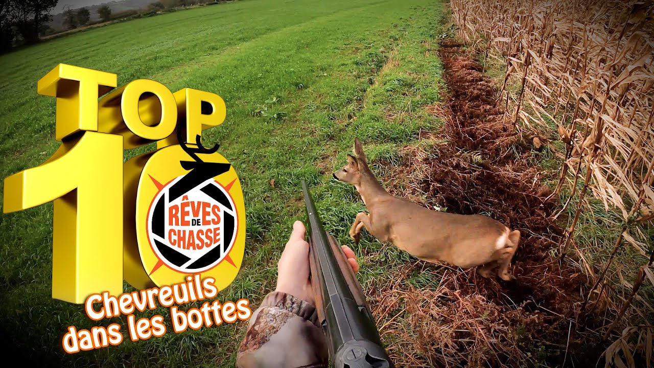 Top 10 Rêves De Chasse n°16 - Février 2024 - Edition spéciale 