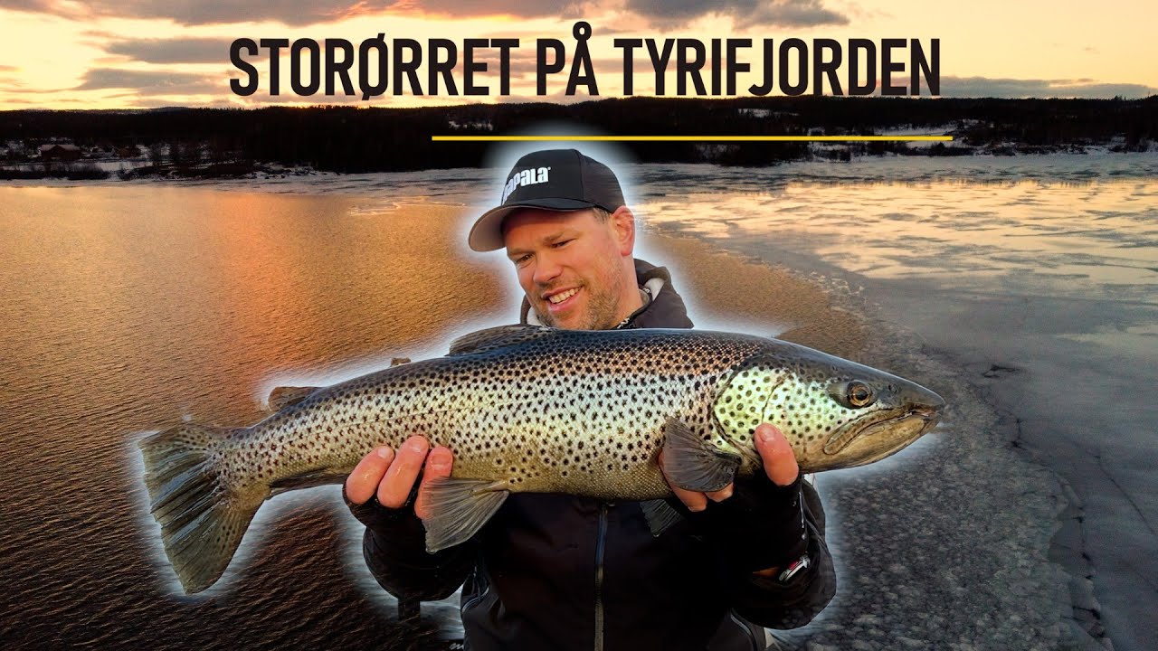 &Oslash;rretfiske med Martin Syverud p&aring; Tyrifjorden // Mars 2024