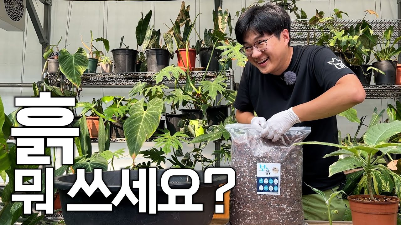 가든킹님 흙 뭐 쓰세요?🧐 ㅣ 알로카시아 흙과 몬스테라 흙은 달라야 한다?😲
