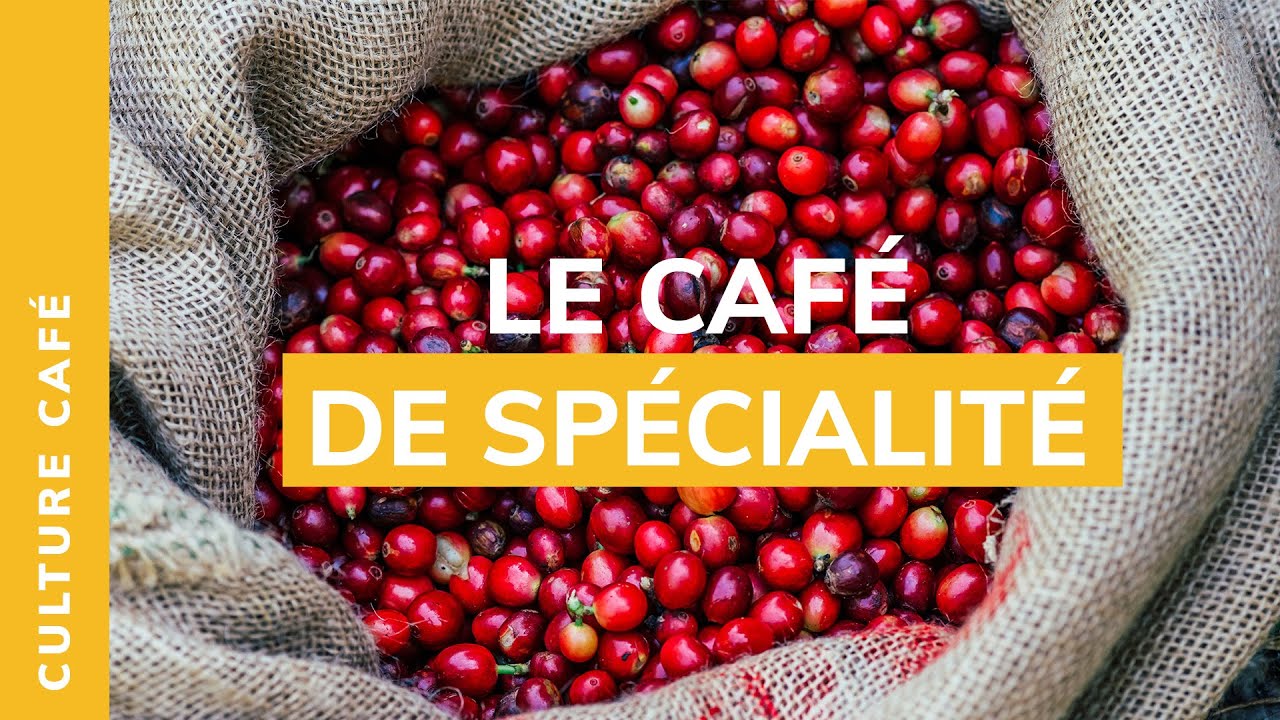 LES COULISSES DU CAFE | Le café de spécialité