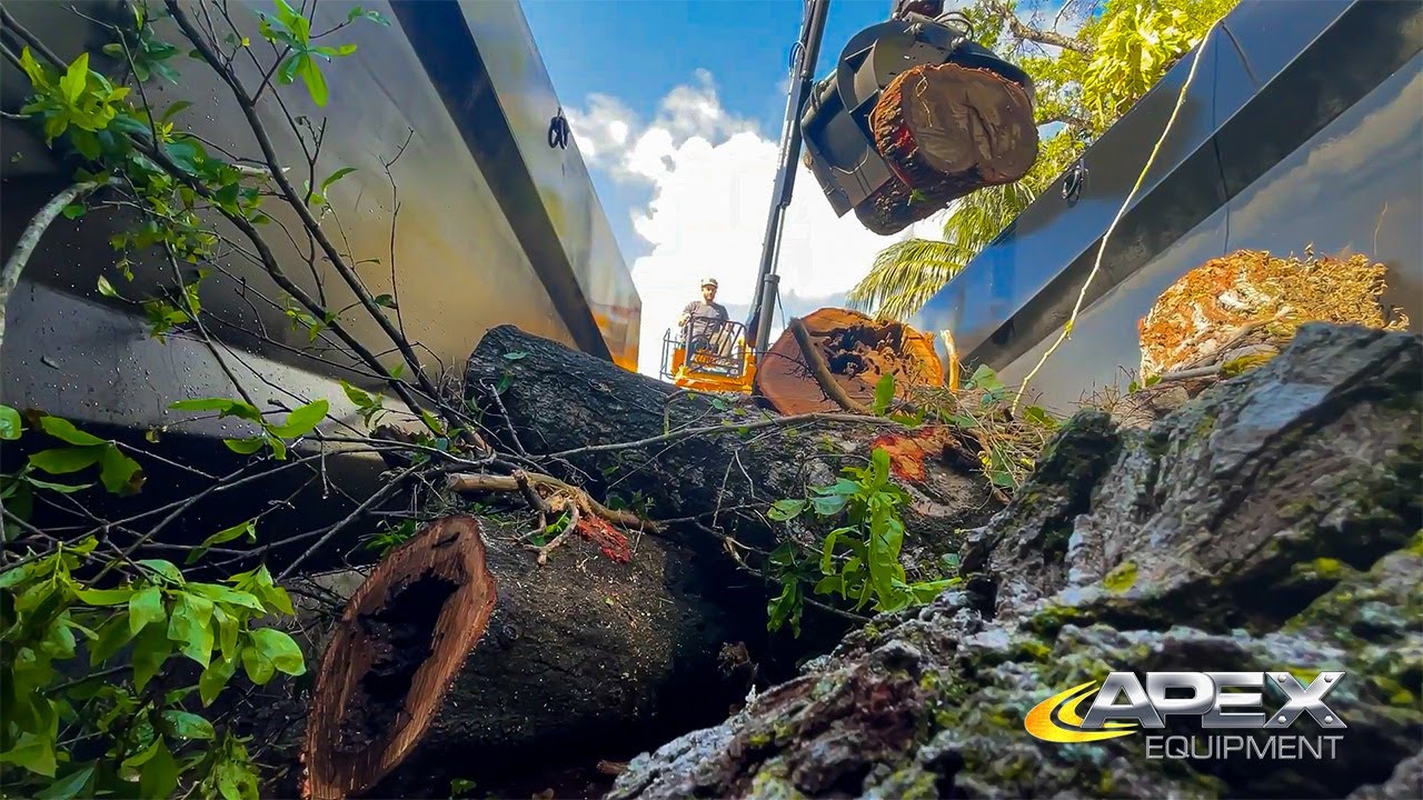 Guilty of Treeson and Tree Jaws Operate a NEW Apex Custom Built Grapple Truck!