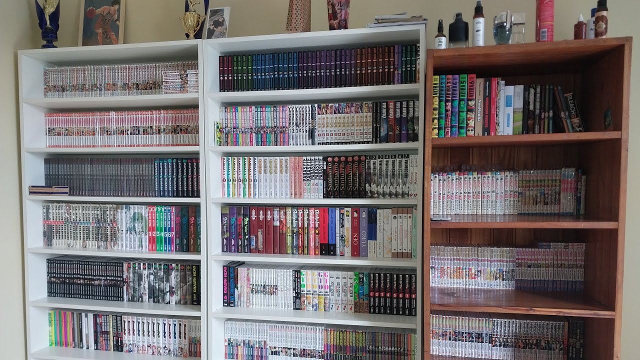 COLECCIÓN MANGA 2024 / especial inicio de año (+1000 tomos) / Manga Argentina