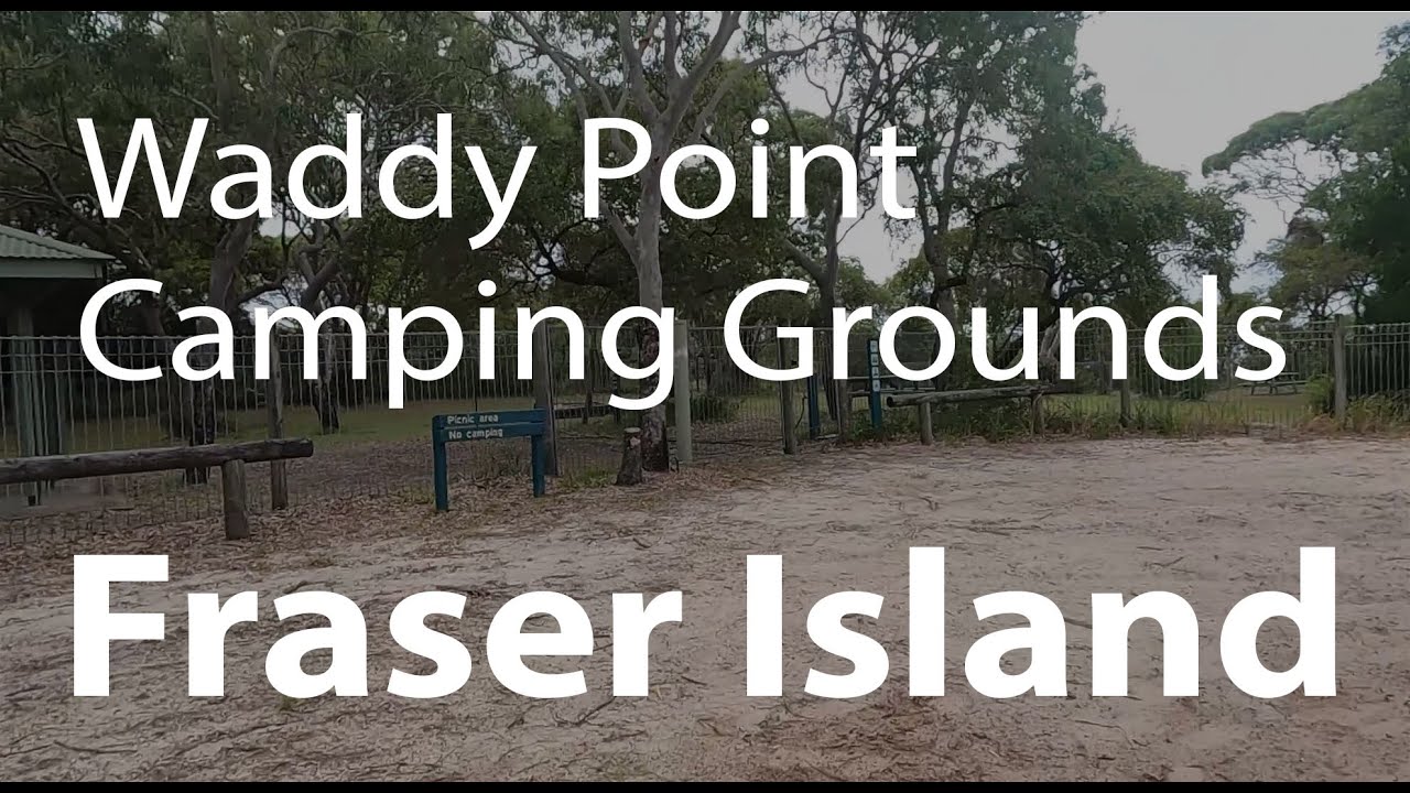 Driving Through The Waddy Point Camping Grounds on Fraser Island | All About Fraser