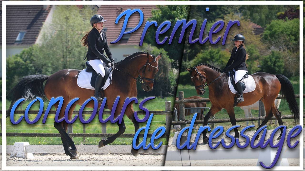 Concours Dressage du 09/05/2021 - Club 3 GP - Notre premier dressage !